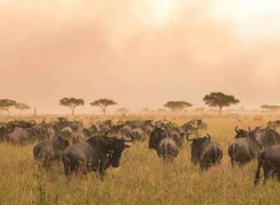 7 Days Tanzania Luxury Safari Tour