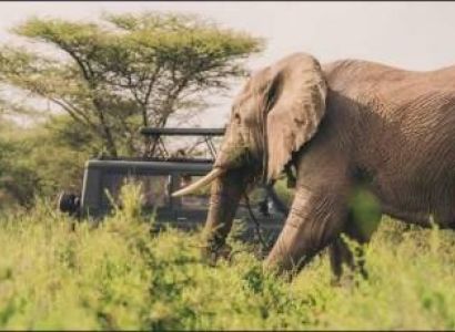 Safari From Zanzibar - Tarangire And Lake Manyara - Two Days
