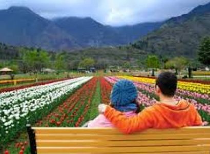 6 Night - 7 Days Kashmir Honeymoon Package