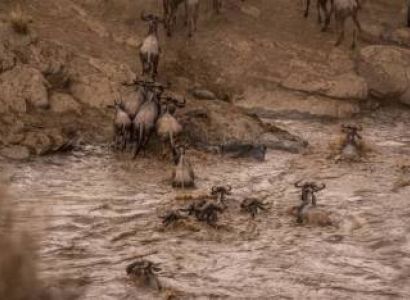 6-Days Flying Luxury Safari : Hells Gate, cresent island ,Lake Nakuru  and Maasai Mara