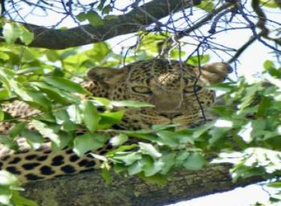 5 Days In The Mara Tour