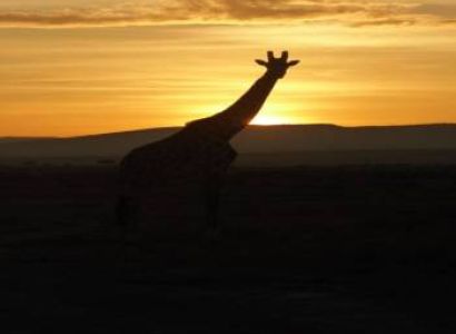 7 Days In The Mara Tour