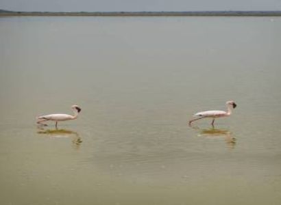 4 Days In Naivasha And Nakuru Tour