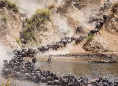4 Nights 5 Days Safari Fly in the  Serengeti
