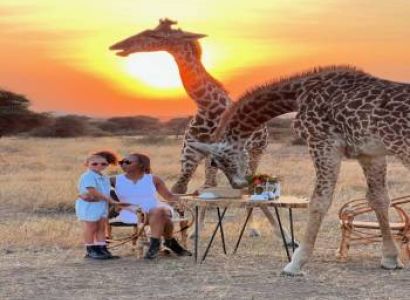 A day visit to Serval Wildlife Sanctuary in Kilimanjaro