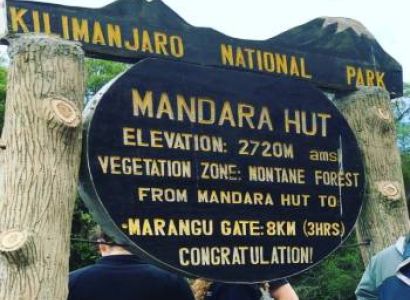 Kilimanjaro Day Hike