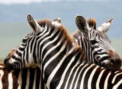 A day tip to Makuyuni Wildlife Park Arusha