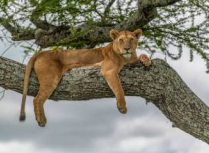 A day tip to Lake Manyara Natinal Park