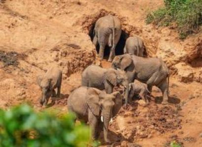 A waterfalls and Elephant Caves Walking Safari in the Ngorongoro Forest