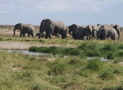 7 nights 8 Days Safari Tanzania- (Solo Traveler -1 pax)