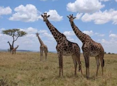 6 Days Kenya Classic Safari Adventure Tour