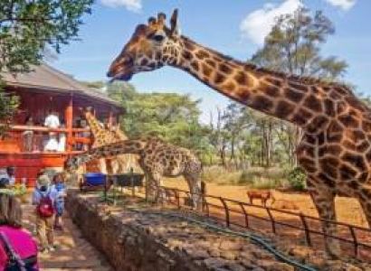 21 Days Kenya Wildlife Safari Plus Beach Holiday Tour
