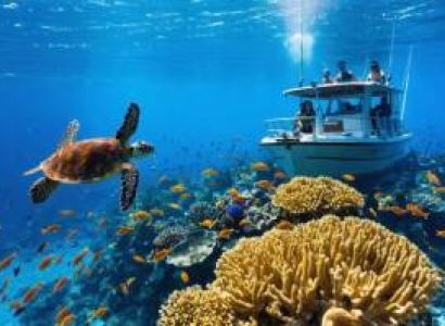 15 Days Travesing Land To Marine Ecosystem Tour