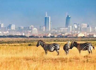 Nairobi National Park Half Day Tour