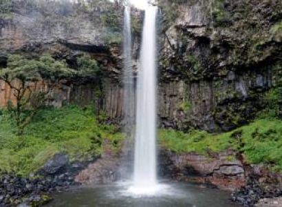 Day Trip To Aberdare National Park