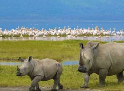 4 Days Maasai Mara - Lake Nakuru Safari Tour