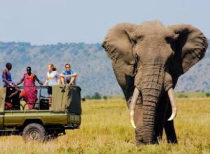 6 Days Kenyan Premier Safari Tour