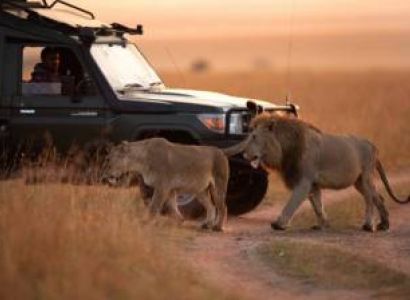 3 Days Maasai Mara Group Safari Tour