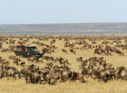 3 Days Maasai Mara Classic Safari Tour