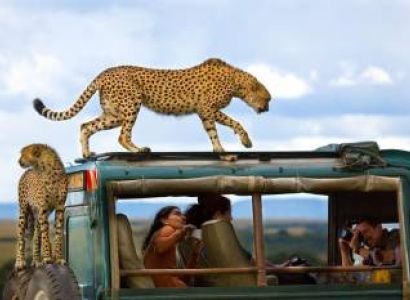 3 Days Maasai Mara Budget Safari Tour