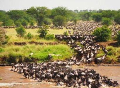 3 Days Maasai Mara Fly-In Safari Tour