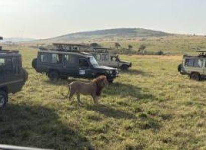 3 Nights and 4 Days Maasai Mara Safari