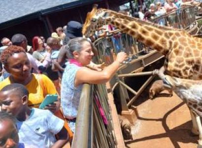 Private Nairobi National Park Tour and The Sheldrick Wildlife Trust or Giraffe Centre