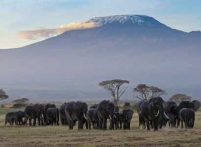 Two Days Guided Amboseli Tour