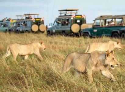 3 Days Classic Maasai Mara Tour
