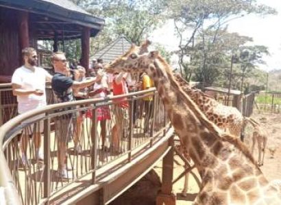 Nairobi City Tour - Full Day