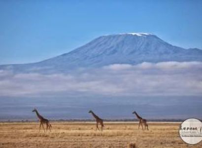 3 D 2 N Amboseli Park Tour
