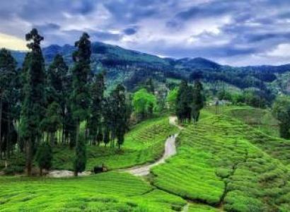 Darjeeling Tour Package 3 Night - 4 Days