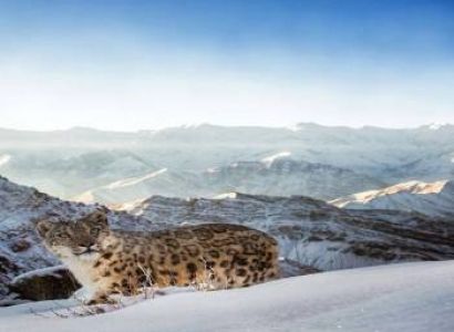 Snow Leopard Expedition Tour 9N - 10D