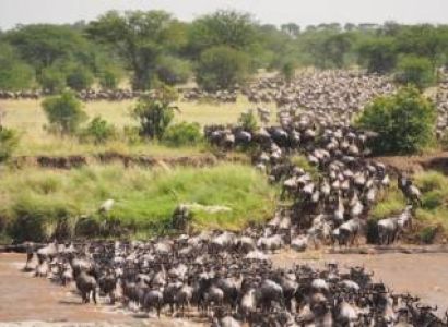 5 Days Kenya  Tour Packages for 2 Adults from Chennia