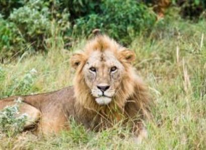 1 Adult 2 Days Mombasa Tour