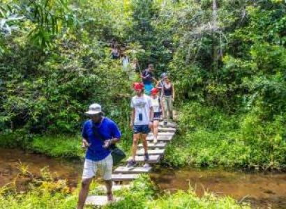 1 Day Shimba Hills Tour