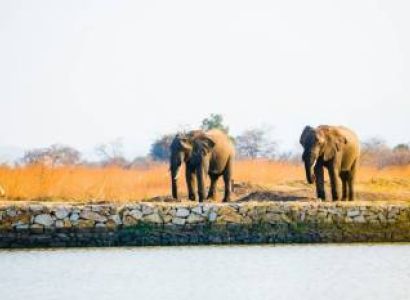1 Day Tsavo East Safari Tour