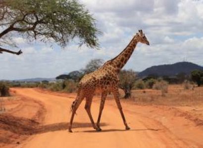 2 Days Tsavo East - Tsavo West Tour