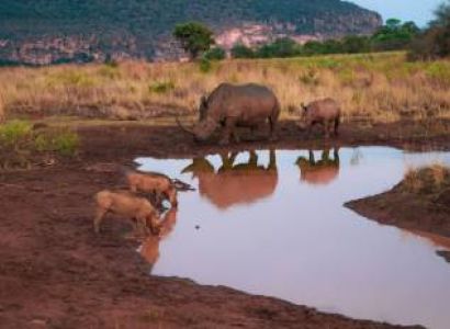 3 Days Ngutuni Safari Lodge Tour