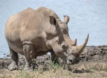 3 Days Tsavo East Tour