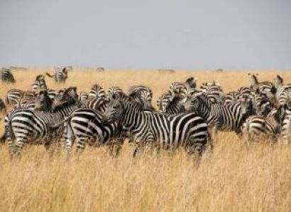 3 Days Tsavo West - Amboseli Tour