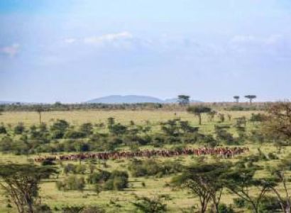 4 Days Tsavo East - Tsavo West - Amboseli Safari Tour