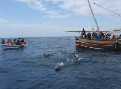 Wasini Dhow - Dolphin Tour