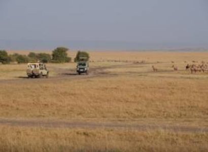 4 Days Lake Naivasha To Maasai Mara Safari Tour