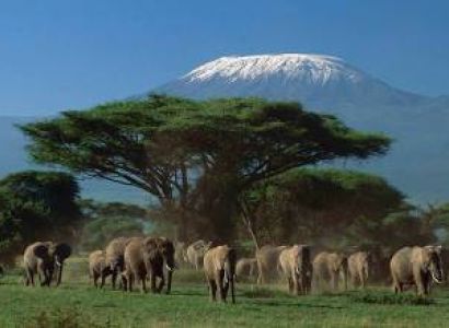 7 days for Maasai Mara National Reserve tour package from Bangalore require for 1 adult