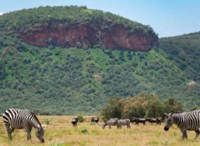 7 days for Maasai Mara National Reserve tour package from Trivandrum require for 1 adult