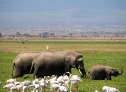 7 Days for Maasai Mara National Reserve Tour Package from Chennai Require for 1 Adult
