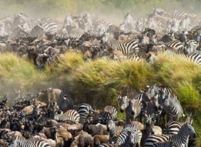 10 Adults Require Masai Mara Tour Package from Bangalore for 6 Days