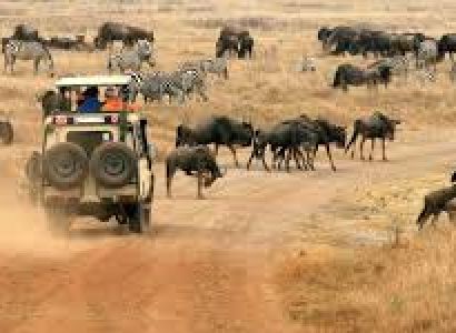 Southern Tanzania Adventure - 5 Days Tour