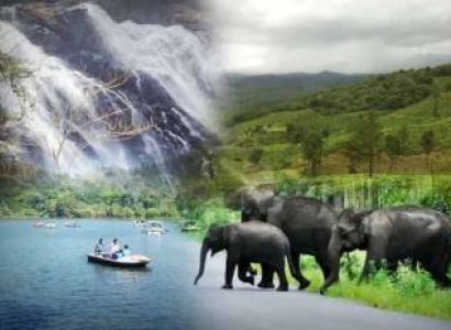 Mysore - Coorg - Wayanad Tour Package